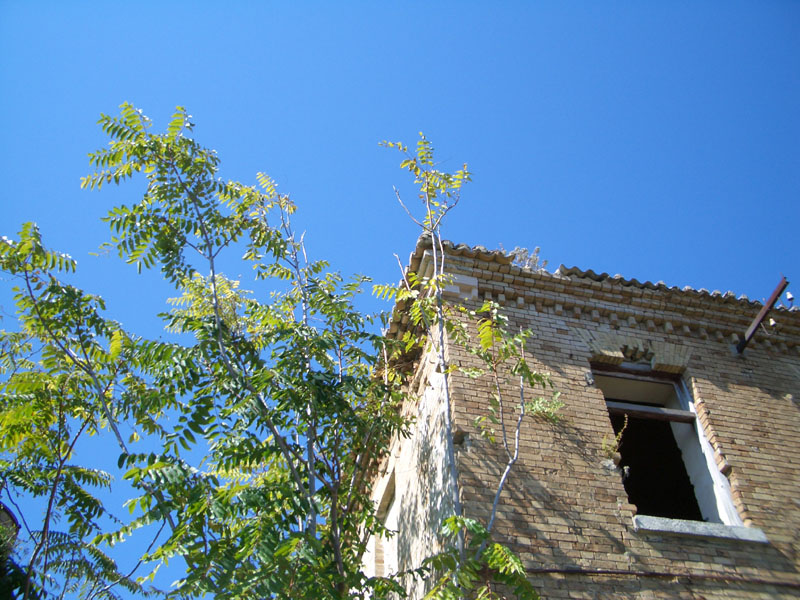 corfu0058