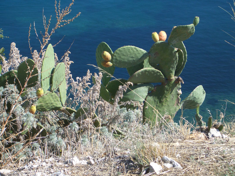 corfu0066