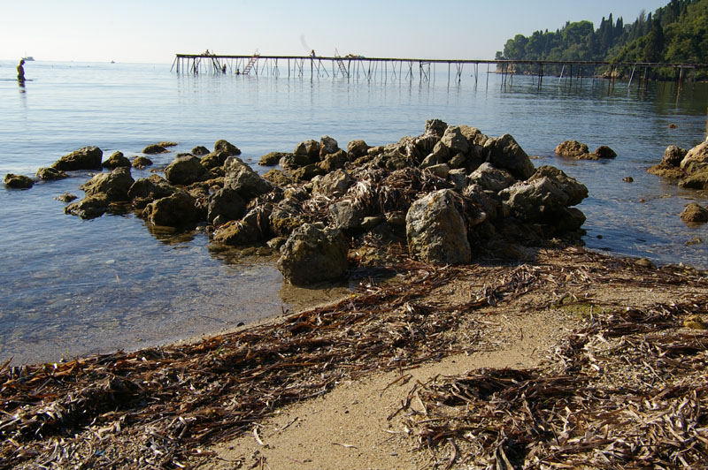 corfu0095