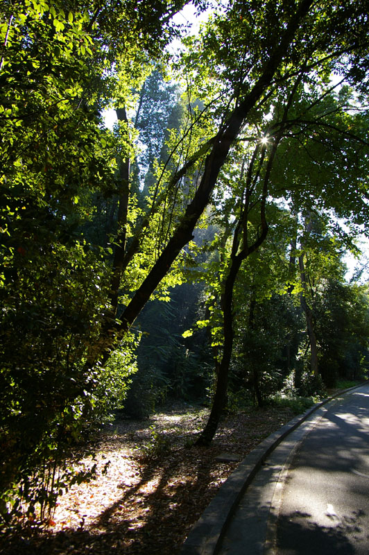 corfu0099