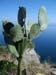 corfu0064