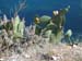 corfu0066