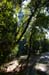 corfu0099
