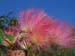 corfu0119