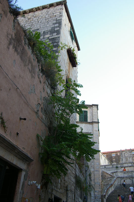 dubrovnik0045