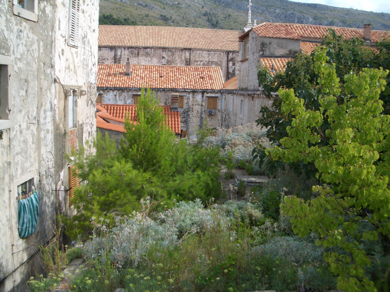 dubrovnik0099