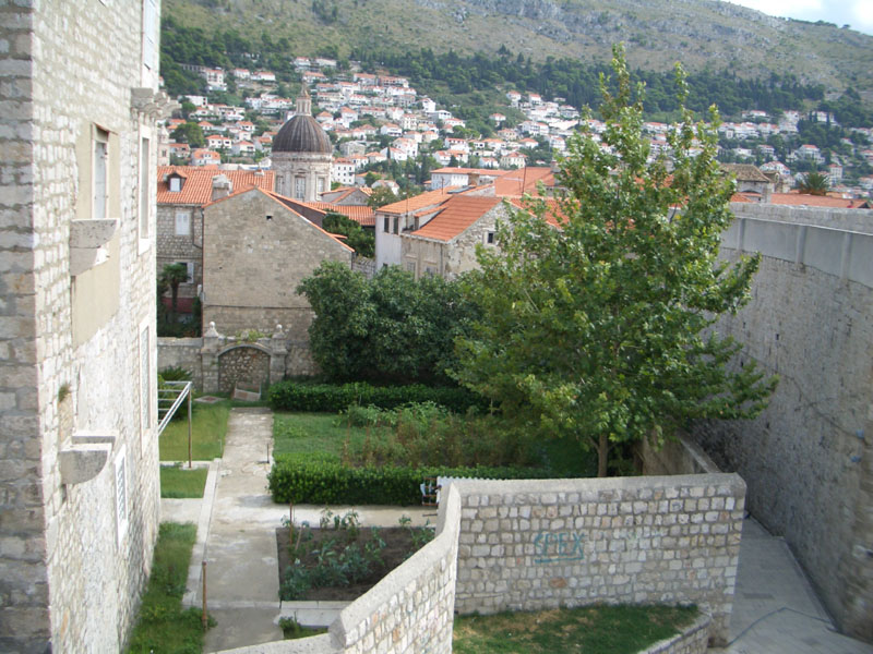 dubrovnik0100