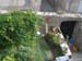 dubrovnik0096