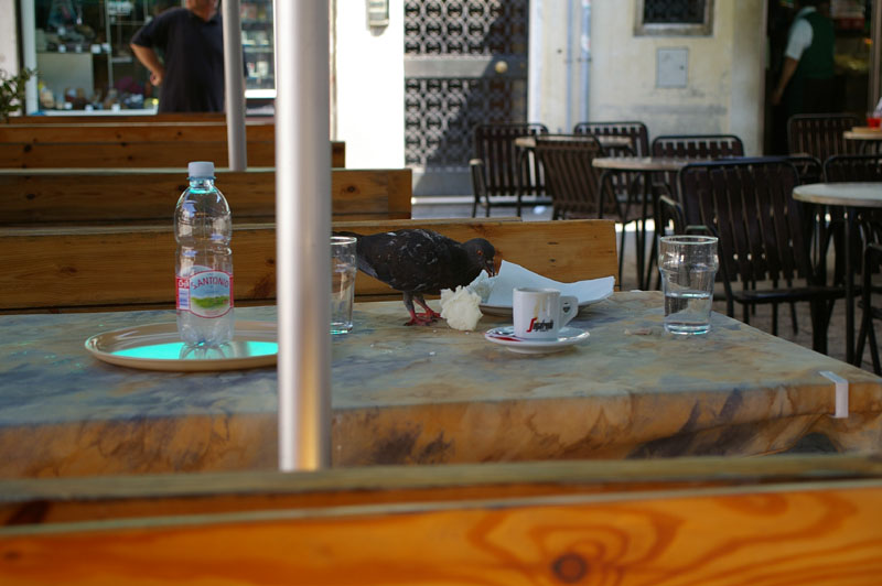 venice0024