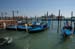 venice0043