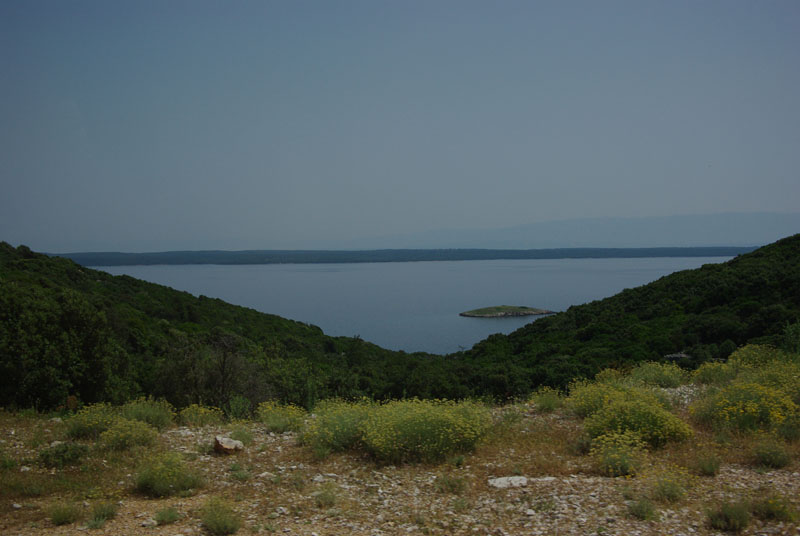 file0050