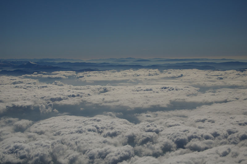 pyrenees