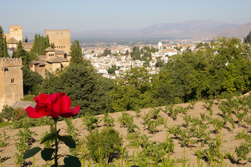 alhambra0068