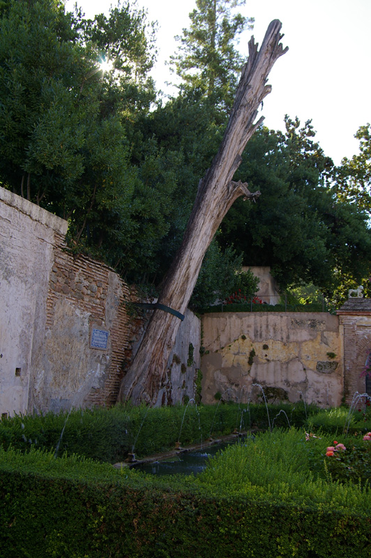 alhambra0075