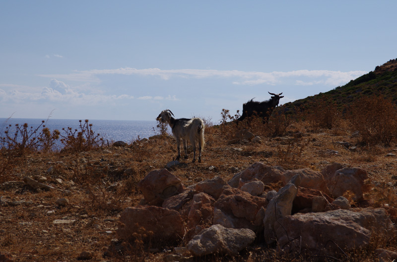 kithira0120