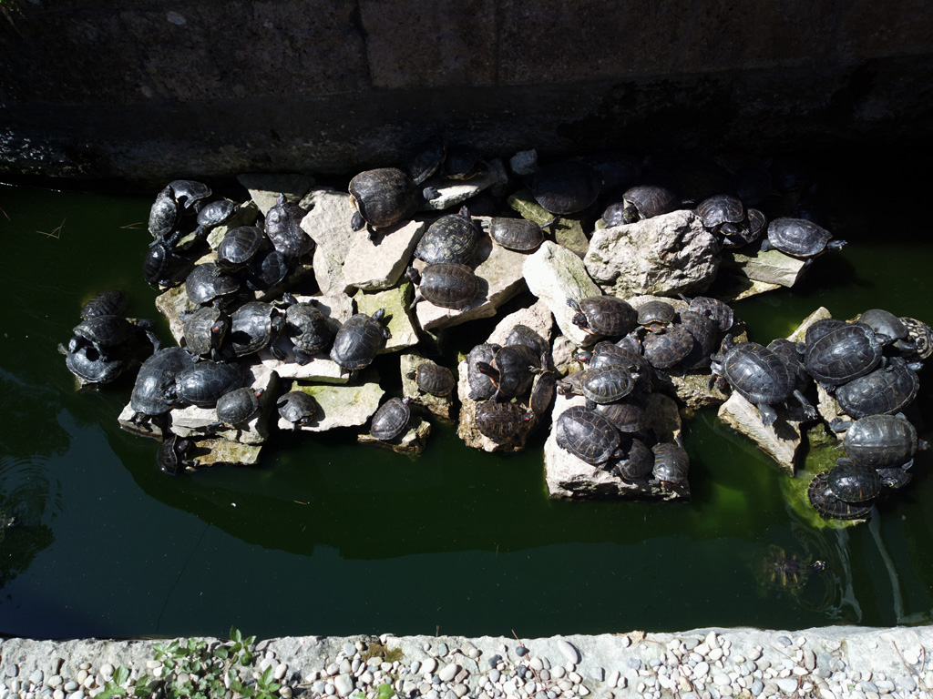 file-074