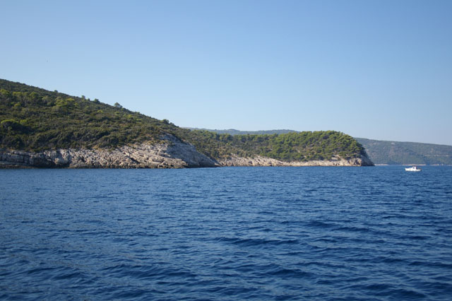 brac0050