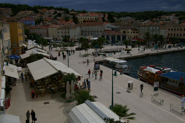 IMGP3135