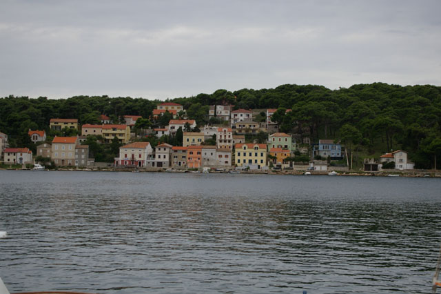 IMGP3141