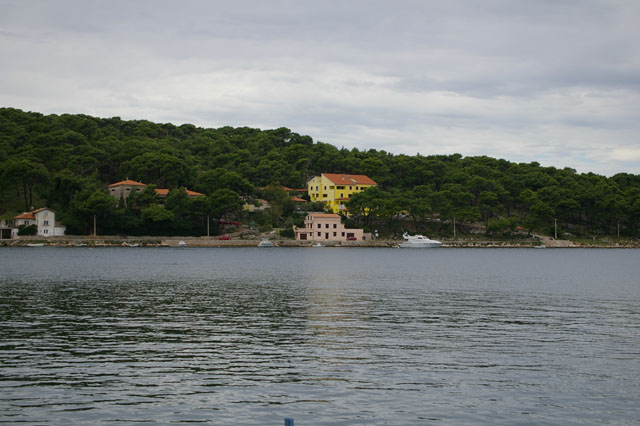 IMGP3142