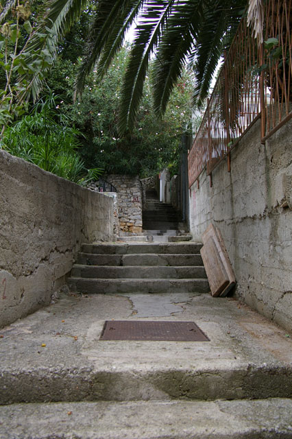 IMGP3144