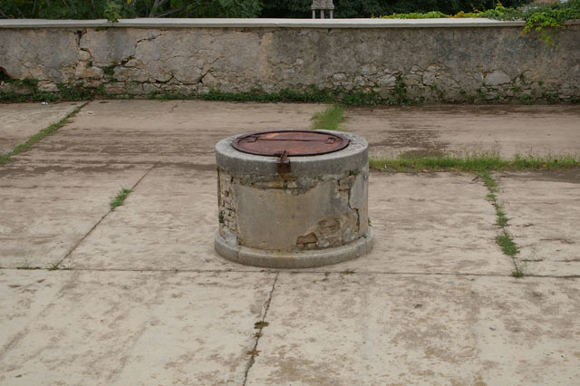 IMGP3150