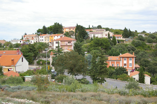 IMGP3155