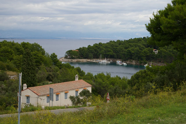 IMGP3156