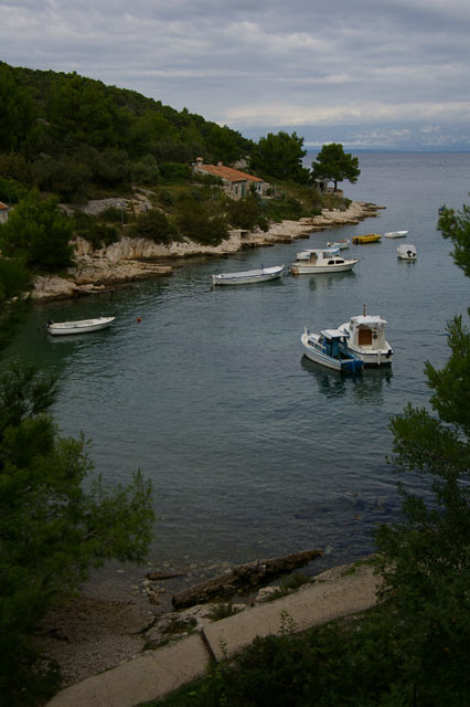 IMGP3157