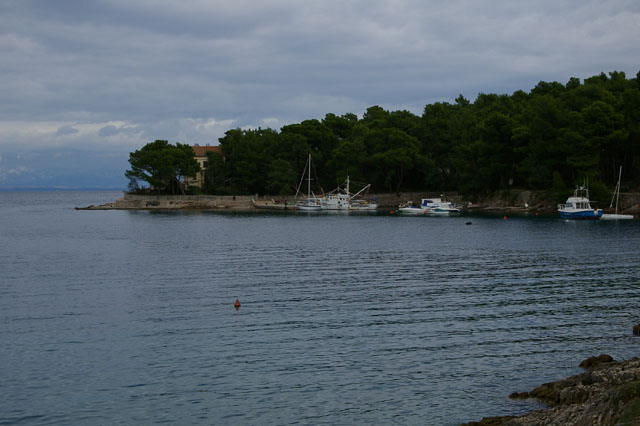 IMGP3159