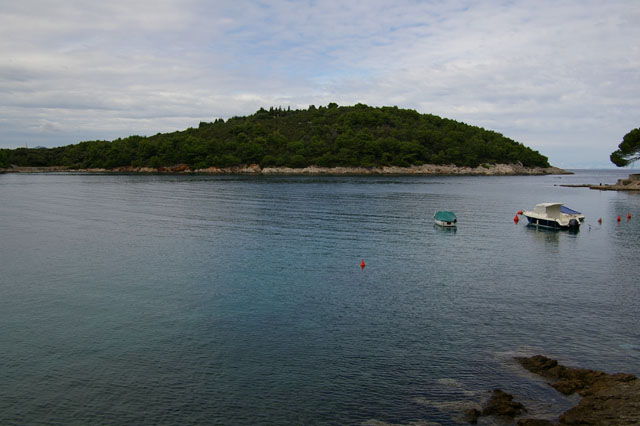 IMGP3161
