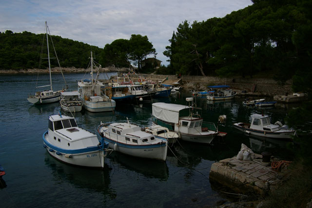 IMGP3162