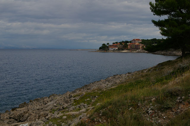 IMGP3163