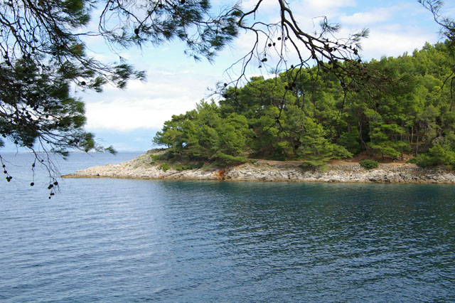 IMGP3165