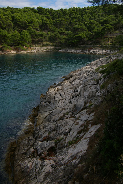 IMGP3167