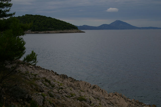 IMGP3168