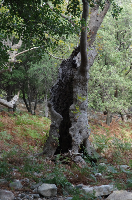 file-0090