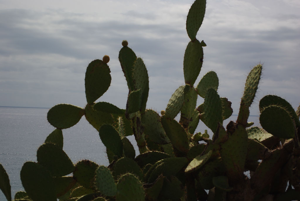 file0058