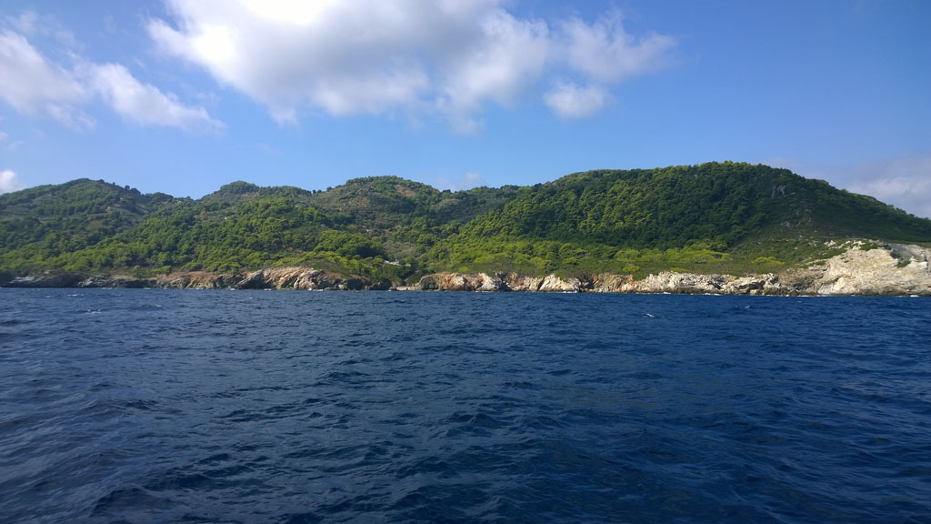 file-0101