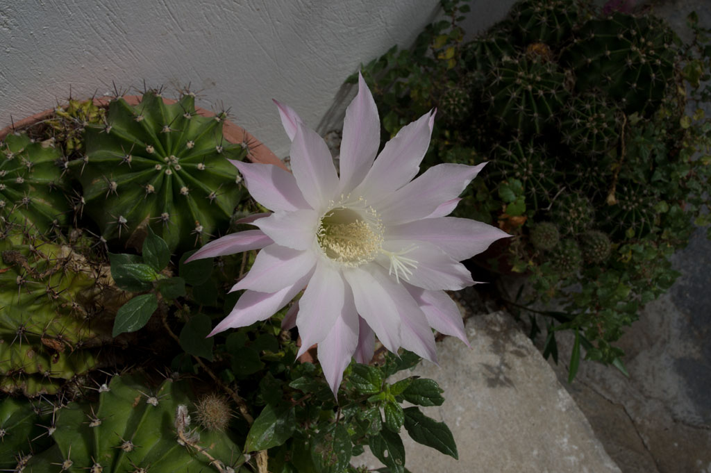 file-0125